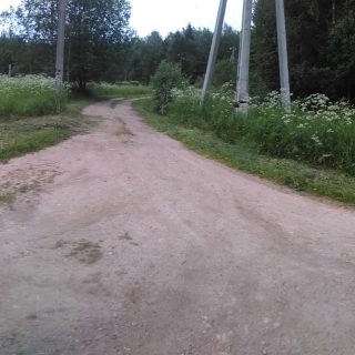 покос травы СНТ Ветеран Могутово